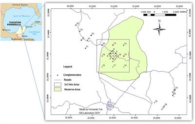 Leaf litter decomposition rates: influence of successional age, topography and microenvironment on six dominant tree species in a tropical dry forest